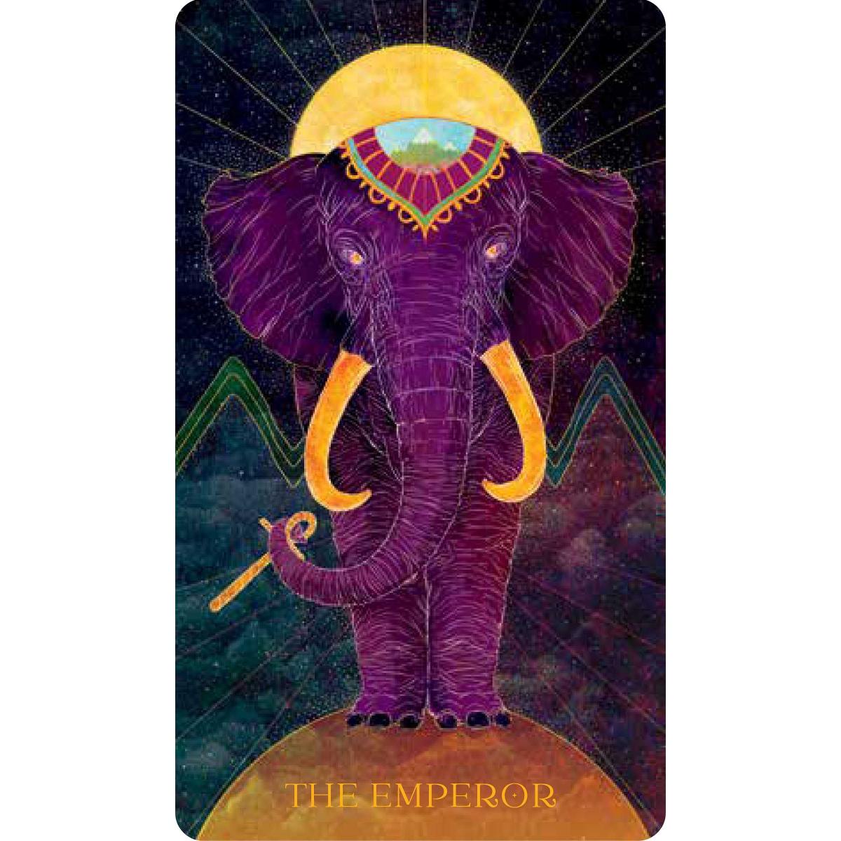 Oriens Tarot animal cartões co - Tarot Cards Deck With Guidebook avaliação e preço